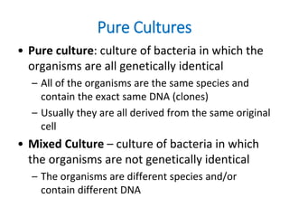 Pure Cultures
• Pure culture: culture of bacteria in which the
organisms are all genetically identical
– All of the organisms are the same species and
contain the exact same DNA (clones)
– Usually they are all derived from the same original
cell
• Mixed Culture – culture of bacteria in which
the organisms are not genetically identical
– The organisms are different species and/or
contain different DNA
 