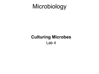 Microbiology
Culturing Microbes
Lab 4
 