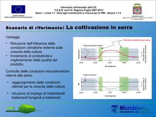 Scenario di riferimento: La coltivazione in serra
UNIONE EUROPEA
FONDO EUROPEO DI SVILUPPO REGIONALE
REGIONE PUGLIA
AREA POLITICHE PER LO SVILUPPO IL LAVORO
E L’INNOVAZIONE
Intervento cofinanziato dall’U.E.
F.E.S.R. sul P.O. Regione Puglia 2007-2013
Asse I – Linea 1.1 “Aiuti agli investimenti in ricerca per le PMI - Azione 1.1.2
• Riduzione dell’influenza delle
condizioni climatiche esterne sulla
crescita delle colture
• Incremento di produttività e
miglioramento della qualità del
prodotto.
Controllo delle condizioni microclimatiche
interne alla serra:
• raggiungimento delle condizioni
ottimali per la crescita delle colture
• riduzione di impiego di indesiderati
trattamenti fungicidi e battericidi
Vantaggi:
 