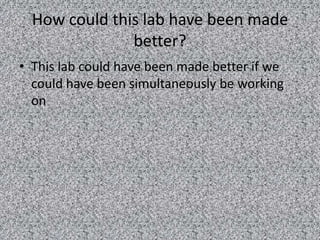 Micro Lab Presentation Pptx