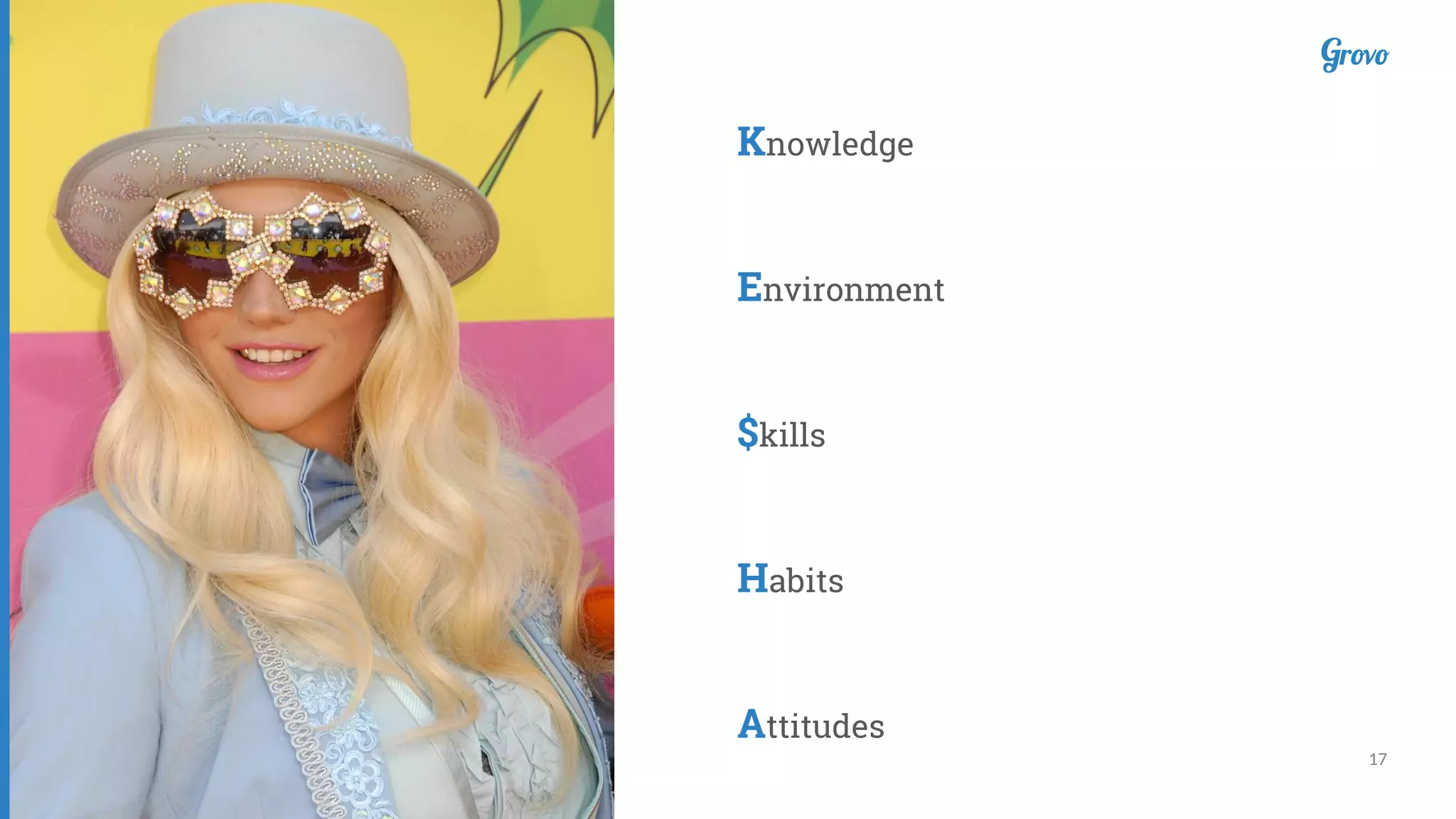 17
Knowledge
Environment
$kills
Habits
Attitudes