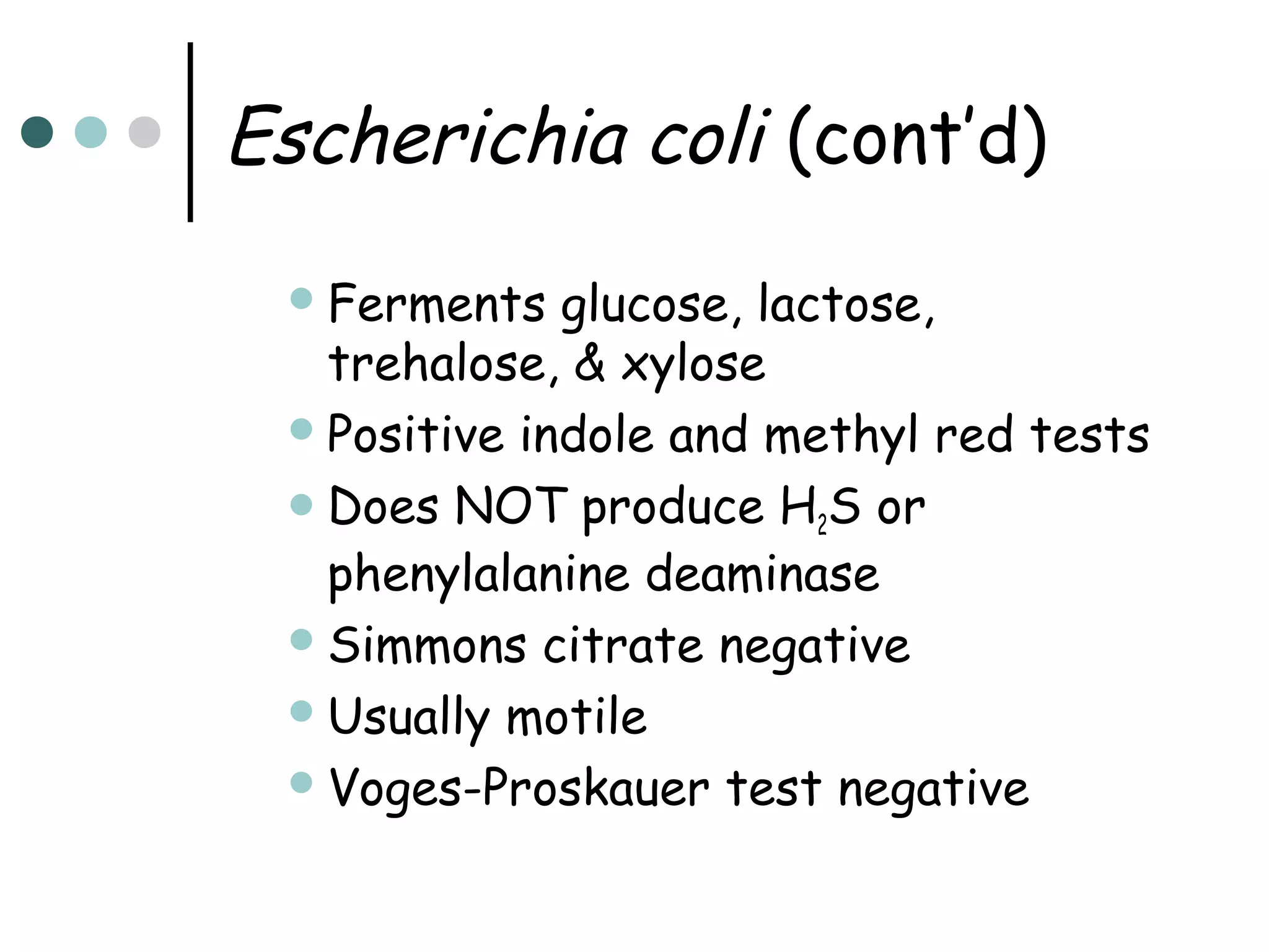 Escherichia coli (cont’d)
 Ferments

glucose, lactose,
trehalose, & xylose
 Positive indole and methyl red tests
 Does NOT produce H2S or
phenylalanine deaminase
 Simmons citrate negative
 Usually motile
 Voges-Proskauer test negative

 