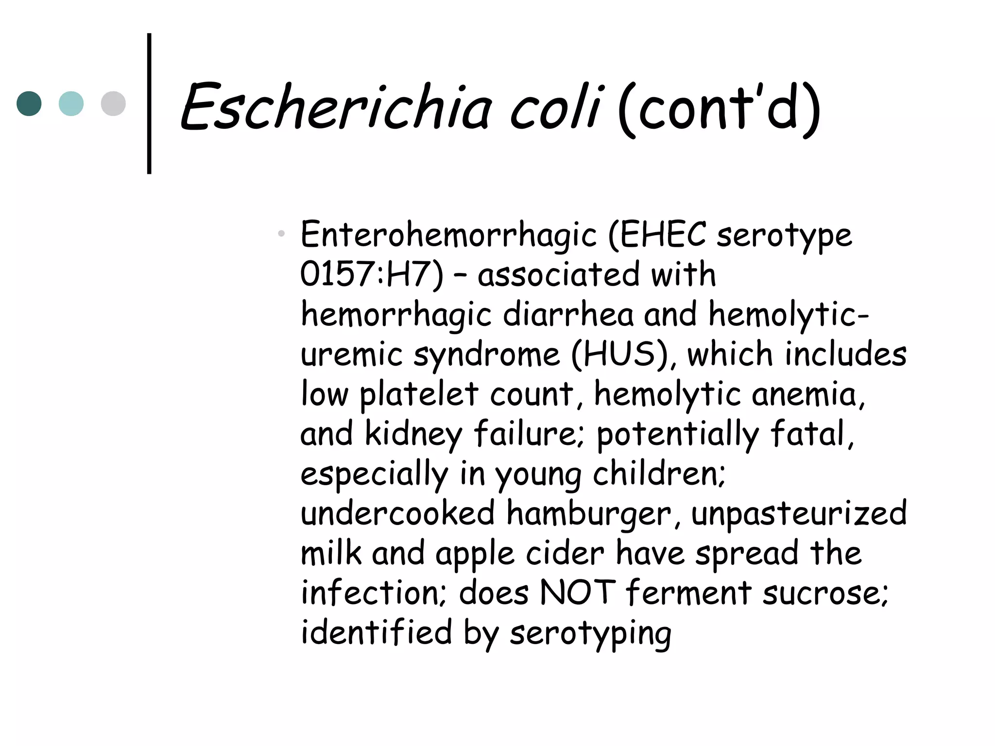 Escherichia coli (cont’d)
• Enterohemorrhagic (EHEC serotype
0157:H7) – associated with
hemorrhagic diarrhea and hemolyticuremic syndrome (HUS), which includes
low platelet count, hemolytic anemia,
and kidney failure; potentially fatal,
especially in young children;
undercooked hamburger, unpasteurized
milk and apple cider have spread the
infection; does NOT ferment sucrose;
identified by serotyping

 