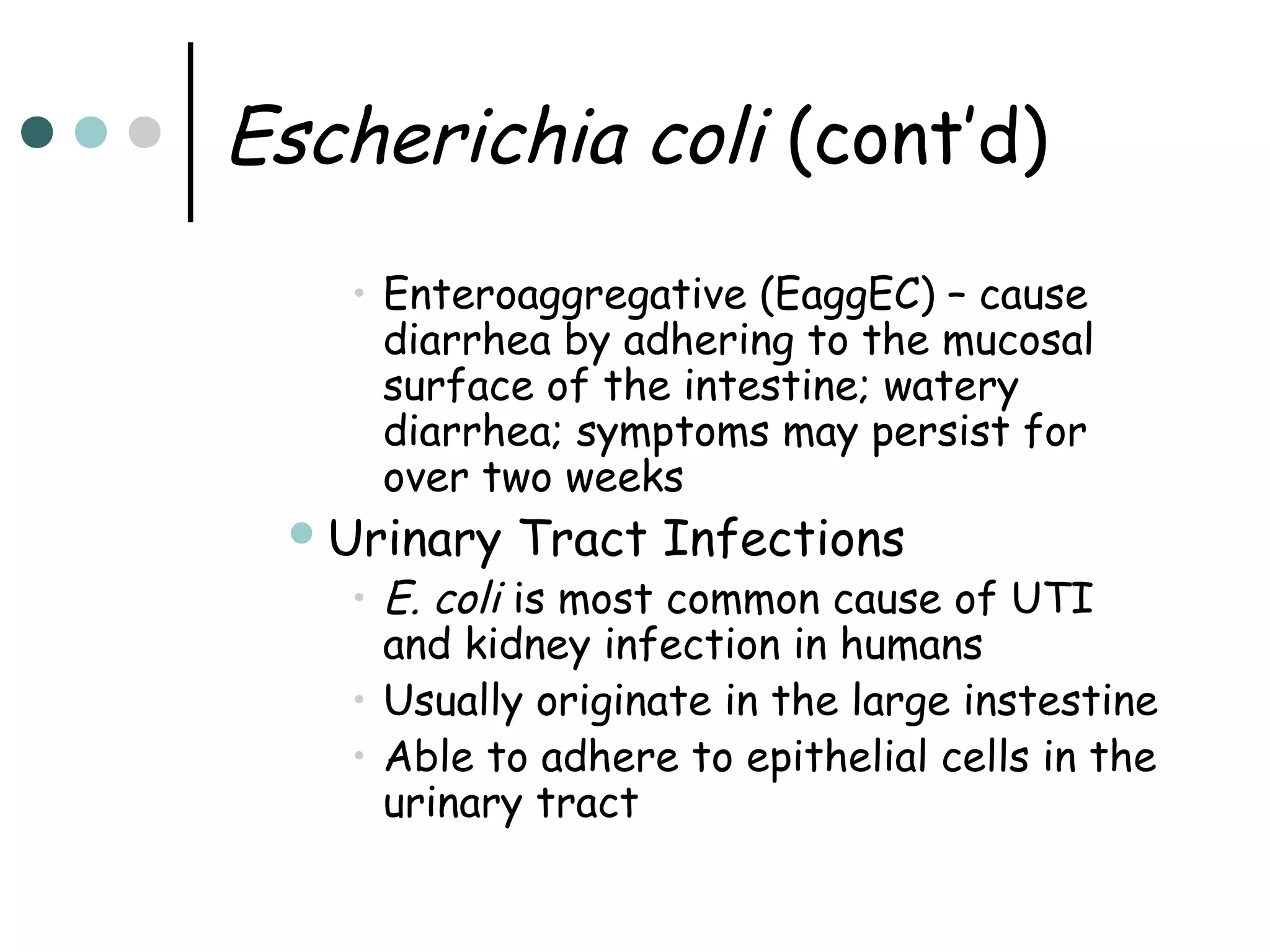 Escherichia coli (cont’d)
• Enteroaggregative (EaggEC) – cause
diarrhea by adhering to the mucosal
surface of the intestine; watery
diarrhea; symptoms may persist for
over two weeks

 Urinary

Tract Infections

• E. coli is most common cause of UTI
and kidney infection in humans
• Usually originate in the large instestine
• Able to adhere to epithelial cells in the
urinary tract

 