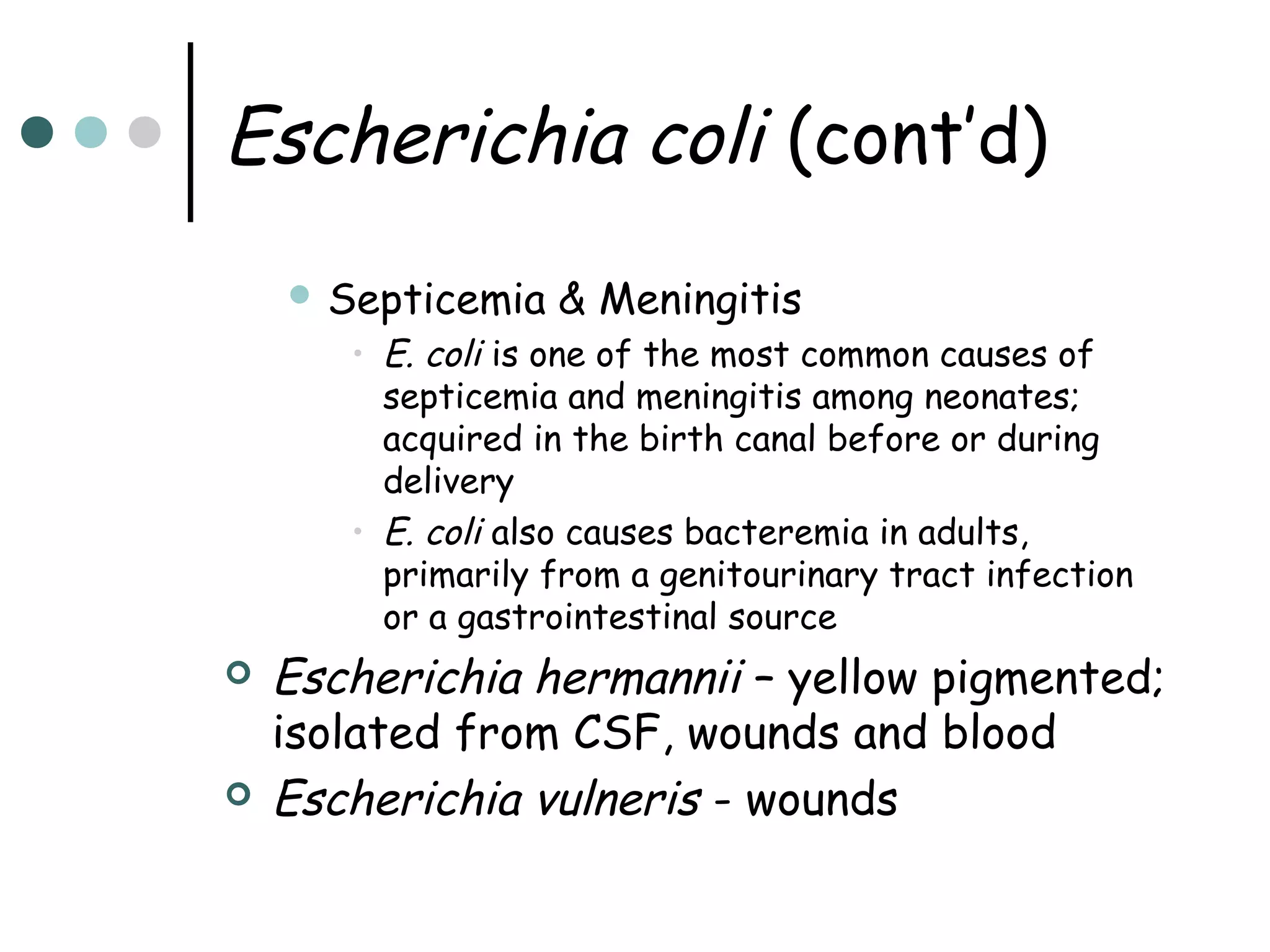 Escherichia coli (cont’d)
 Septicemia

& Meningitis

• E. coli is one of the most common causes of
septicemia and meningitis among neonates;
acquired in the birth canal before or during
delivery
• E. coli also causes bacteremia in adults,
primarily from a genitourinary tract infection
or a gastrointestinal source





Escherichia hermannii – yellow pigmented;
isolated from CSF, wounds and blood
Escherichia vulneris - wounds

 