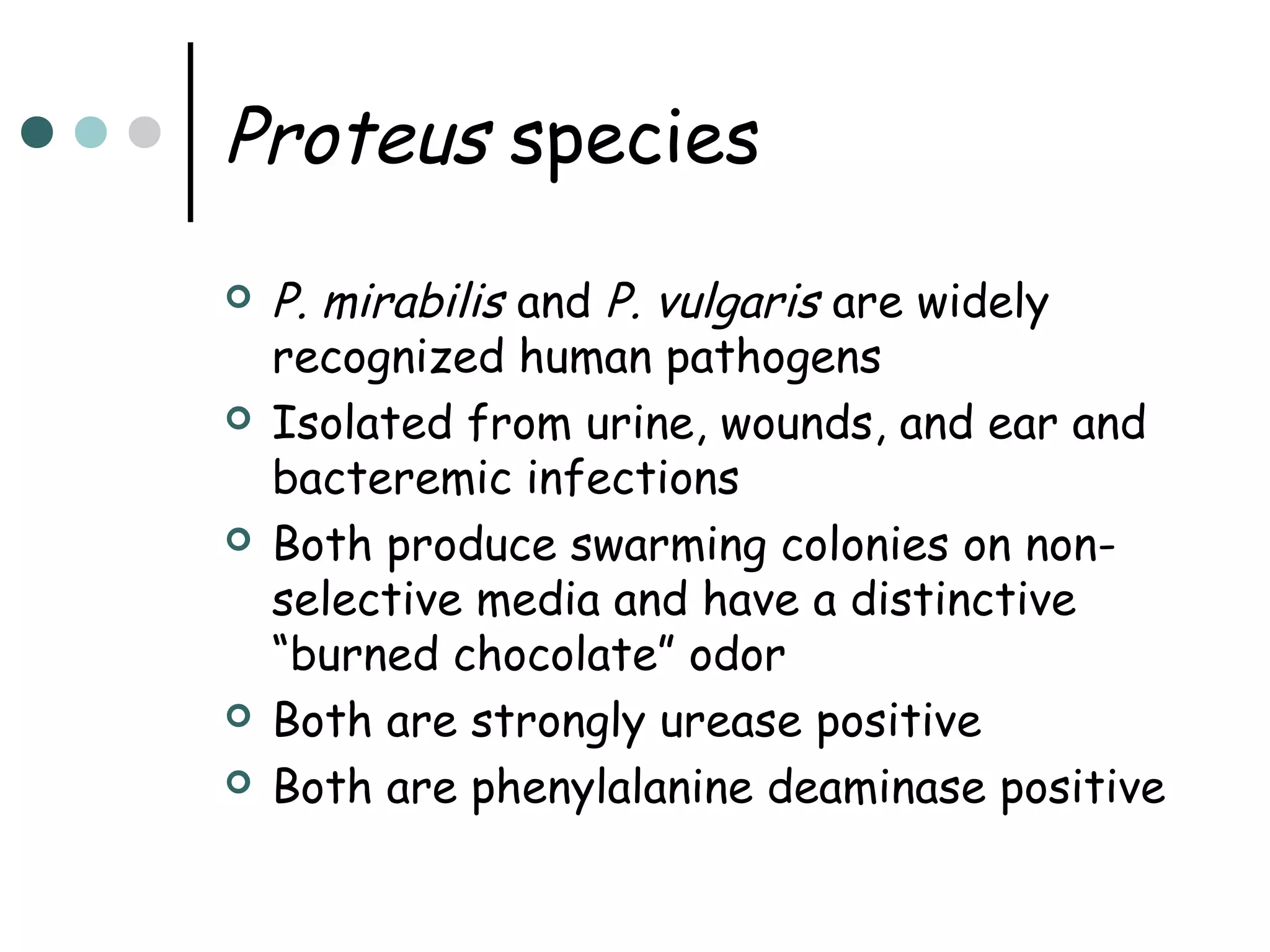 Proteus species









P. mirabilis and P. vulgaris are widely
recognized human pathogens
Isolated from urine, wounds, and ear and
bacteremic infections
Both produce swarming colonies on nonselective media and have a distinctive
“burned chocolate” odor
Both are strongly urease positive
Both are phenylalanine deaminase positive

 