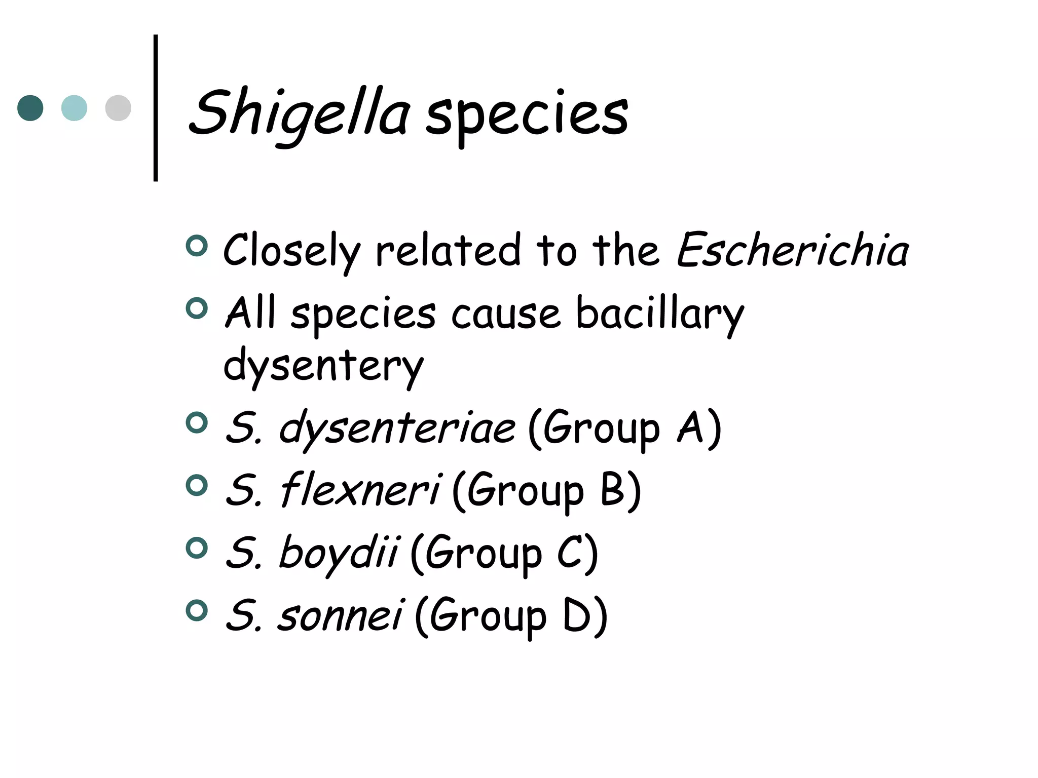 Shigella species
Closely related to the Escherichia
 All species cause bacillary
dysentery
 S. dysenteriae (Group A)
 S. flexneri (Group B)
 S. boydii (Group C)
 S. sonnei (Group D)


 