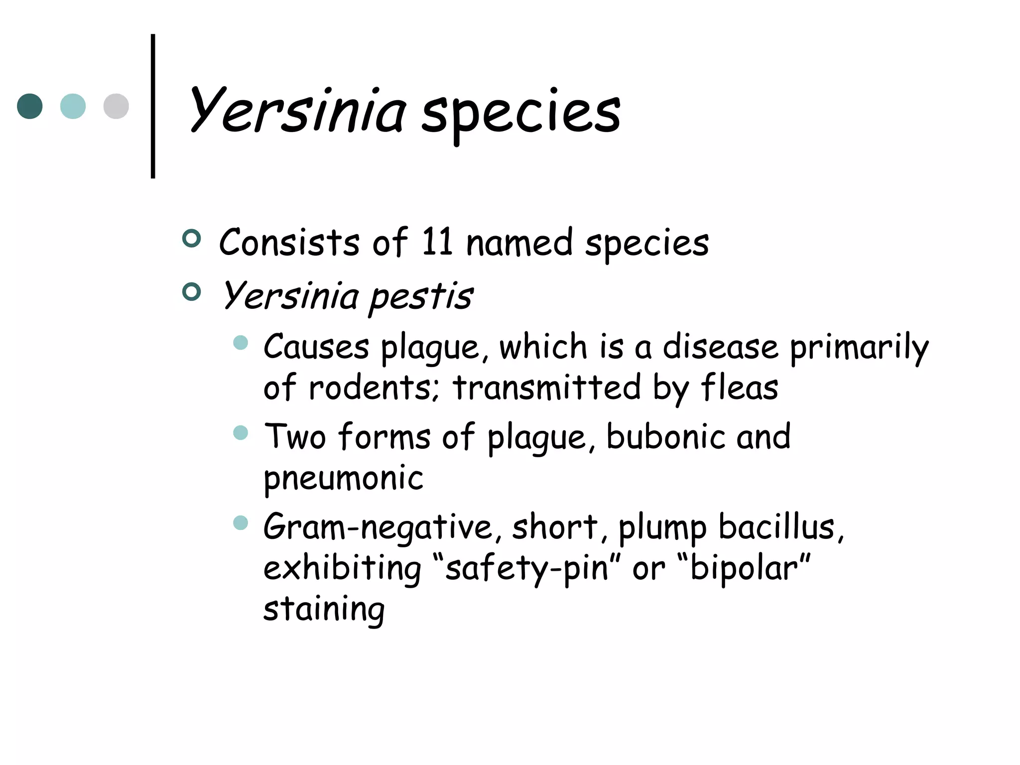 Yersinia species



Consists of 11 named species
Yersinia pestis
 Causes

plague, which is a disease primarily
of rodents; transmitted by fleas
 Two forms of plague, bubonic and
pneumonic
 Gram-negative, short, plump bacillus,
exhibiting “safety-pin” or “bipolar”
staining

 