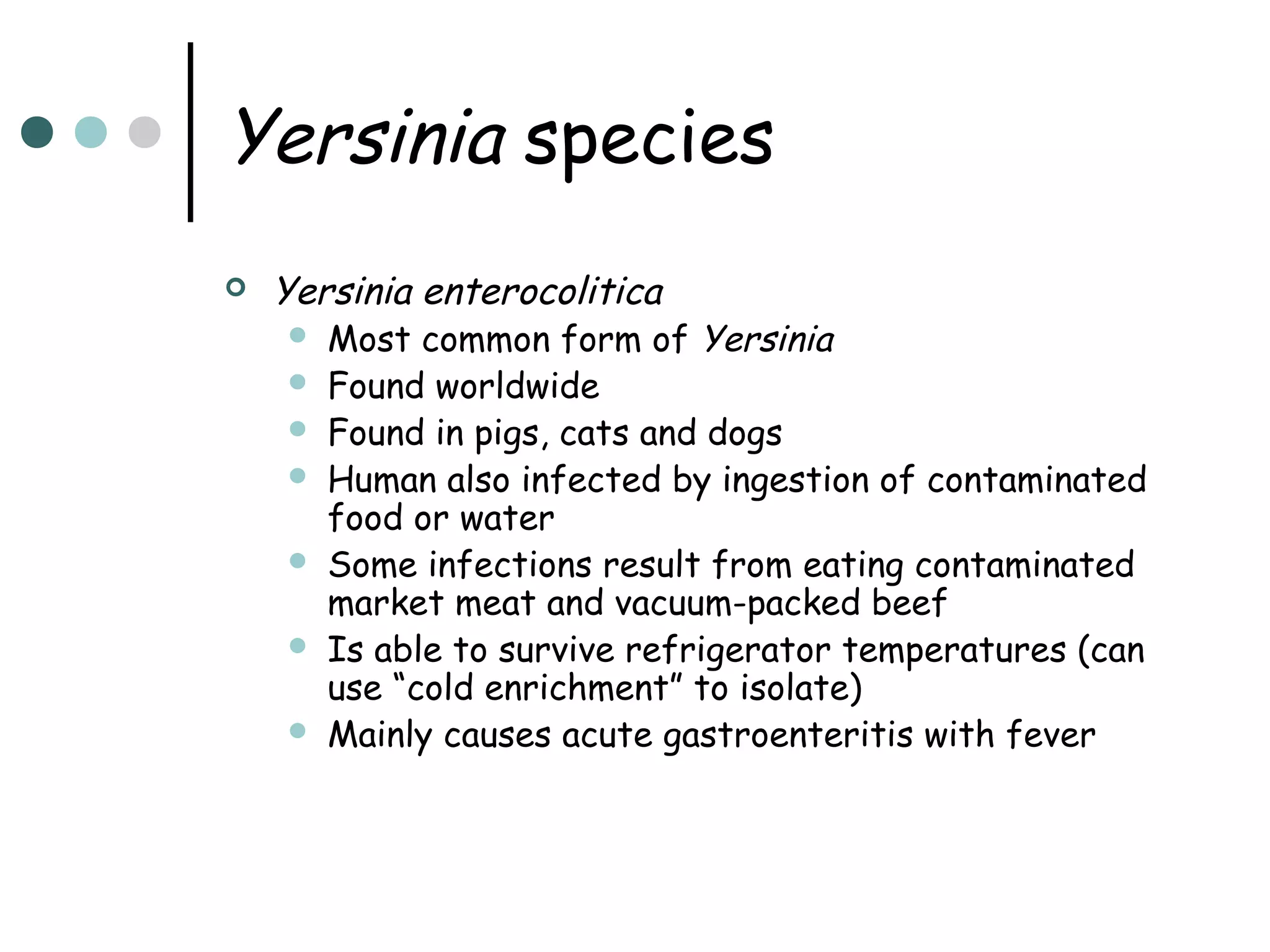 Yersinia species


Yersinia enterocolitica








Most common form of Yersinia
Found worldwide
Found in pigs, cats and dogs
Human also infected by ingestion of contaminated
food or water
Some infections result from eating contaminated
market meat and vacuum-packed beef
Is able to survive refrigerator temperatures (can
use “cold enrichment” to isolate)
Mainly causes acute gastroenteritis with fever

 