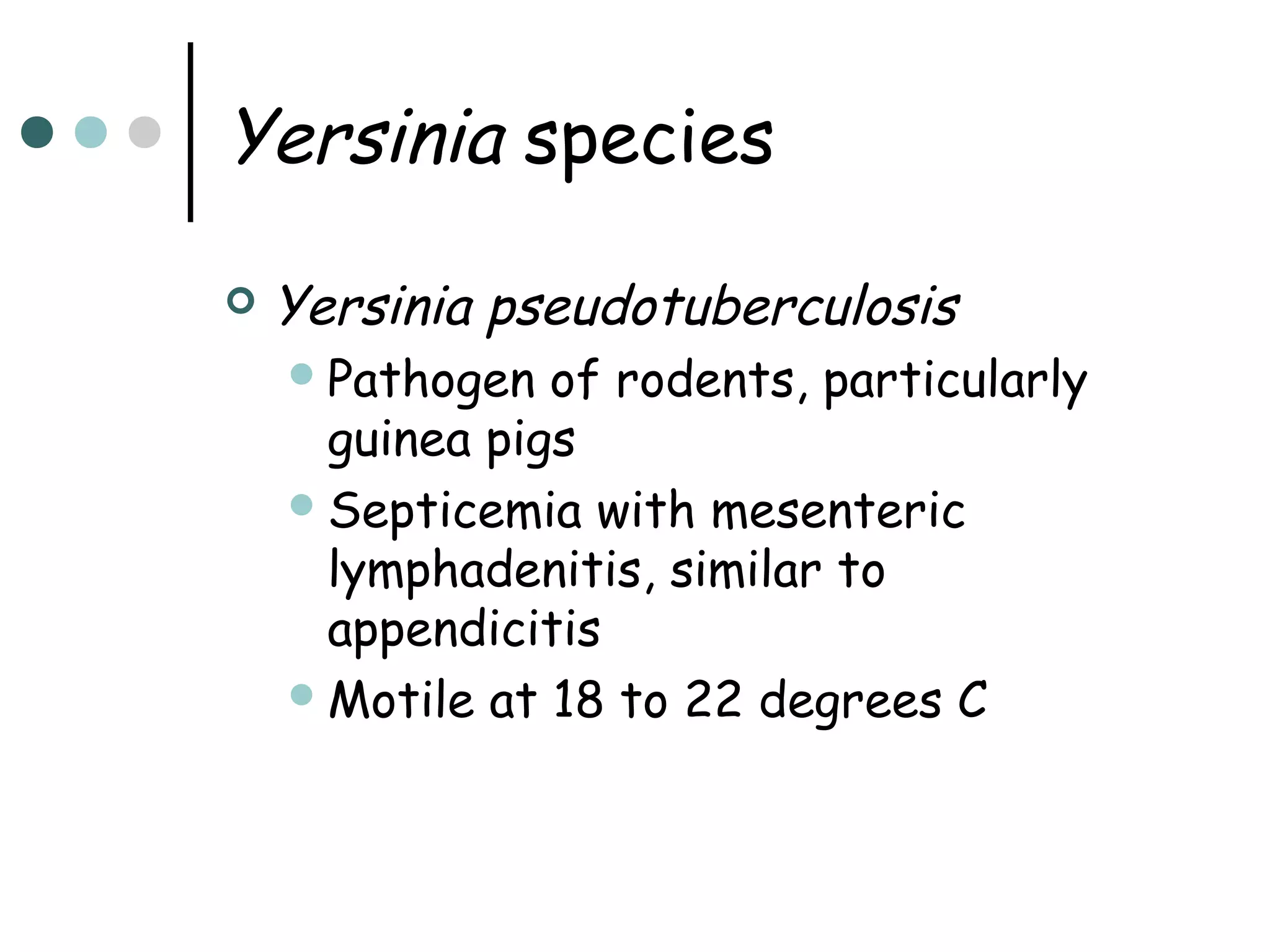 Yersinia species


Yersinia pseudotuberculosis
 Pathogen

of rodents, particularly
guinea pigs
 Septicemia with mesenteric
lymphadenitis, similar to
appendicitis
 Motile at 18 to 22 degrees C

 