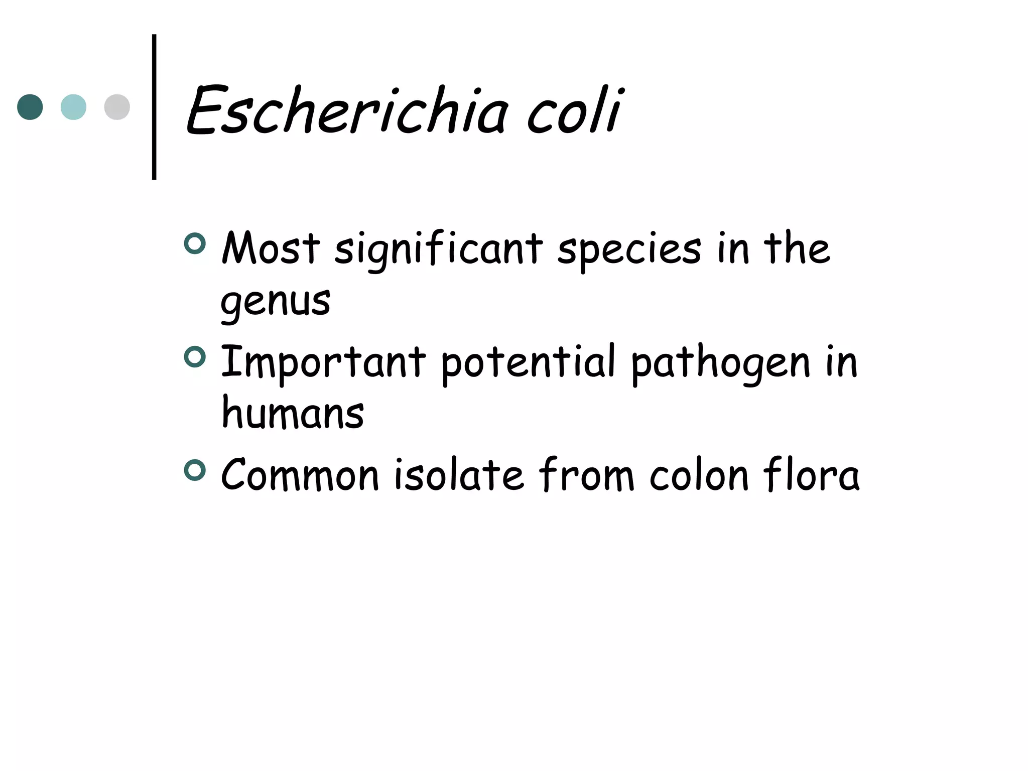 Escherichia coli
Most significant species in the
genus
 Important potential pathogen in
humans
 Common isolate from colon flora


 