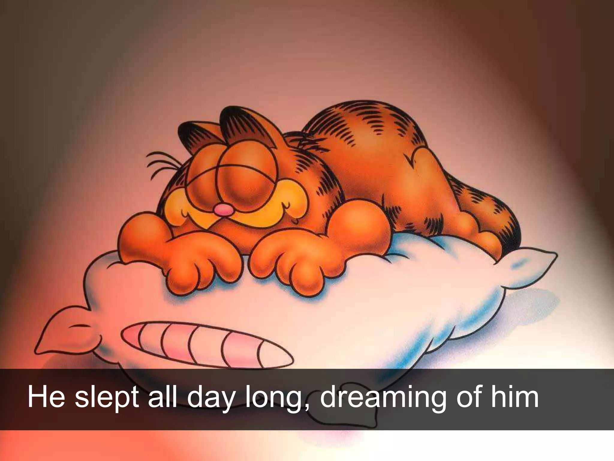 He slept all day long, dreaming of him
 