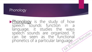 Phonology
Phonology is the study of how
speech sounds function in a
language, it studies the ways
speech sounds are organized. It
can be seen as the functional
phonetics of a particular language.