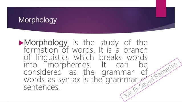 synonyms for microcosm synonyms for microcosm