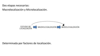 Dos etapas necesarias:
Macrolocalización y Microlocalización.
Determinada por factores de localización.
 