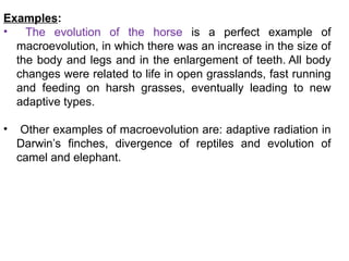 Macroevolutionary Pattern Examples micro, macro and megaevolution with examples | PPTX