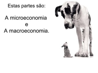 Estas partes são:

A microeconomia
e
A macroeconomia.

 