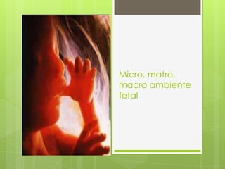 Micro, matro,
macro ambiente
fetal
 