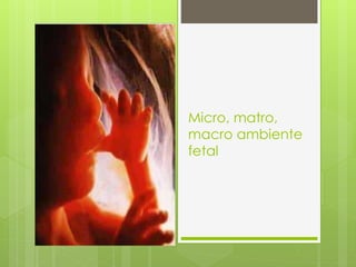 Micro, matro, 
macro ambiente 
fetal 
 