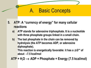 A. Basic Concepts
5. ATP: A “currency of energy” for many cellular
reactions
a) ATP stands for adenosine triphosphate. It is a nucleotide
with three phosphate groups linked in a small chain.
b) The last phosphate in the chain can be removed by
hydrolysis (the ATP becomes ADP, or adenosine
diphosphate).
This reaction is energetically favorable: it has a ∆G°' of
about –7.5 kcal/mol
ATP + H2O → ADP + Phosphate + Energy (7.5 kcal/mol)
 