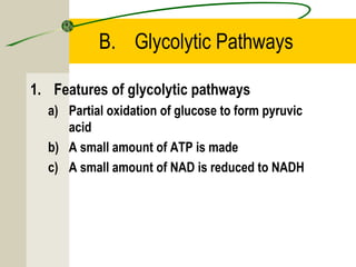 B. Glycolytic Pathways
1. Features of glycolytic pathways
a) Partial oxidation of glucose to form pyruvic
acid
b) A small amount of ATP is made
c) A small amount of NAD is reduced to NADH
 
