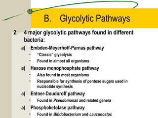 B. Glycolytic Pathways
2. 4 major glycolytic pathways found in different
bacteria:
a) Embden-Meyerhoff-Parnas pathway
• “Classic” glycolysis
• Found in almost all organisms
a) Hexose monophosphate pathway
• Also found in most organisms
• Responsible for synthesis of pentose sugars used in
nucleotide synthesis
a) Entner-Doudoroff pathway
• Found in Pseudomonas and related genera
a) Phosphoketolase pathway
• Found in Bifidobacterium and Leuconostoc
 
