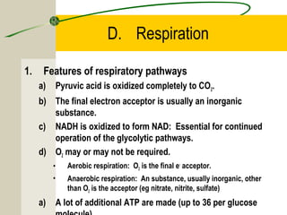 D. Respiration
1. Features of respiratory pathways
a) Pyruvic acid is oxidized completely to CO2.
b) The final electron acceptor is usually an inorganic
substance.
c) NADH is oxidized to form NAD: Essential for continued
operation of the glycolytic pathways.
d) O2 may or may not be required.
• Aerobic respiration: O2 is the final e-
acceptor.
• Anaerobic respiration: An substance, usually inorganic, other
than O2 is the acceptor (eg nitrate, nitrite, sulfate)
a) A lot of additional ATP are made (up to 36 per glucose
 