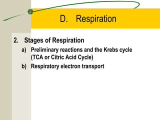 D. Respiration
2. Stages of Respiration
a) Preliminary reactions and the Krebs cycle
(TCA or Citric Acid Cycle)
b) Respiratory electron transport
 