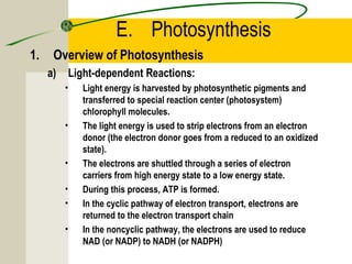E. Photosynthesis
1. Overview of Photosynthesis
a) Light-dependent Reactions:
• Light energy is harvested by photosynthetic pigments and
transferred to special reaction center (photosystem)
chlorophyll molecules.
• The light energy is used to strip electrons from an electron
donor (the electron donor goes from a reduced to an oxidized
state).
• The electrons are shuttled through a series of electron
carriers from high energy state to a low energy state.
• During this process, ATP is formed.
• In the cyclic pathway of electron transport, electrons are
returned to the electron transport chain
• In the noncyclic pathway, the electrons are used to reduce
NAD (or NADP) to NADH (or NADPH)
 