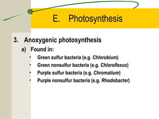 E. Photosynthesis
3. Anoxygenic photosynthesis
a) Found in:
• Green sulfur bacteria (e.g. Chlorobium)
• Green nonsulfur bacteria (e.g. Chloroflexus)
• Purple sulfur bacteria (e.g. Chromatium)
• Purple nonsulfur bacteria (e.g. Rhodobacter)
 