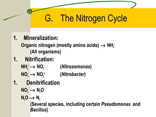 G. The Nitrogen Cycle
1. Mineralization:
Organic nitrogen (mostly amino acids) → NH4
+
(All organisms)
1. Nitrification:
NH4
+
→ NO2
-
(Nitrosomonas)
NO2
-
→ NO3
2-
(Nitrobacter)
1. Denitrification
NO3
-
→ N2O
N2O → N2
(Several species, including certain Pseudomonas and
Bacillus)
 