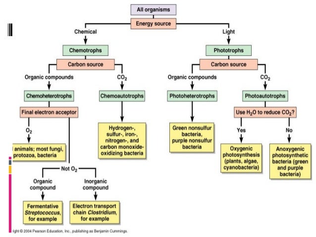 photosynthesis 6 requirements for Microbial metabolism photosynthesis 6 requirements for Microbial metabolism