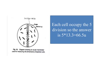 Each cell occupy the 5
division so the answer
is 5*13.3=66.5u
 