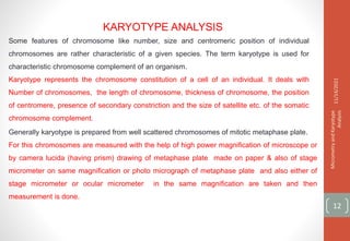 KARYOTYPE ANALYSIS
Some features of chromosome like number, size and centromeric position of individual
chromosomes are rather characteristic of a given species. The term karyotype is used for
characteristic chromosome complement of an organism.
Karyotype represents the chromosome constitution of a cell of an individual. It deals with
Number of chromosomes, the length of chromosome, thickness of chromosome, the position
of centromere, presence of secondary constriction and the size of satellite etc. of the somatic
chromosome complement.
11/14/2021
Micrometry
and
Karyotype
Analysis
12
Generally karyotype is prepared from well scattered chromosomes of mitotic metaphase plate.
For this chromosomes are measured with the help of high power magnification of microscope or
by camera lucida (having prism) drawing of metaphase plate made on paper & also of stage
micrometer on same magnification or photo micrograph of metaphase plate and also either of
stage micrometer or ocular micrometer in the same magnification are taken and then
measurement is done.
 