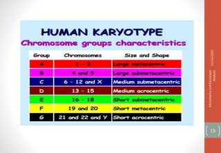 11/14/2021
Micrometry
and
Karyotype
Analysis
15
 