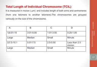Total Length of Individual Chromosome (TCIL)
It is measured in micron ( µm) and includes length of both arms and centromeres
(from one telomere to another telomere).The chromosomes are grouped
variously on the size of the chromosome.
A B C D
1)5.01-10 3.01-5.00 1.01-3.00 0.25-1.00
Large Median Small Minute
2)7.5-10.1 5.01-7.5 2.5-5.00 Less than 2.5
micron
Large Median Small Minute
11/14/2021
Micrometry
and
Karyotype
Analysis
17
 