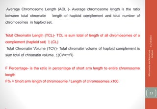 Average Chromosome Length (ACL )- Average chromosome length is the ratio
between total chromatin length of haploid complement and total number of
chromosomes in haploid set.
Total Chromatin Length (TCL)- TCL is sum total of length of all chromosomes of a
complement (haploid set)  (CL)
Total Chromatin Volume (TCV)- Total chromatin volume of haploid complement is
sum total of chromatin volume. (CV=πr2l)
F Percentage- is the ratio in percentage of short arm length to entire chromosome
length
F% = Short arm length of chromosome / Length of chromosomes x100
.
11/14/2021
Micrometry
and
Karyotype
Analysis
23
 