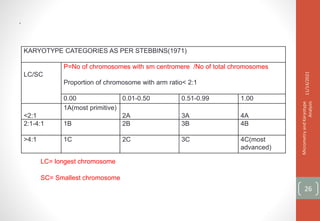 .
KARYOTYPE CATEGORIES AS PER STEBBINS(1971)
LC/SC
P=No of chromosomes with sm centromere /No of total chromosomes
Proportion of chromosome with arm ratio< 2:1
0.00 0.01-0.50 0.51-0.99 1.00
<2:1
1A(most primitive)
2A 3A 4A
2:1-4:1 1B 2B 3B 4B
>4:1 1C 2C 3C 4C(most
advanced)
LC= longest chromosome
SC= Smallest chromosome
11/14/2021
Micrometry
and
Karyotype
Analysis
26
 