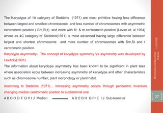 The Karyotype of 1A category of Stebbins (1971) are most primitive having less difference
between largest and smallest chromosome and less number of chromosomes with asymmetric
centromeric position ( Sm,St,t) and more with M & m centromeric position (Levan et. al 1964)
where as 4C category of Stebbins(1971) is most advanced having large difference between
largest and shortest chromosome and more number of chromosomes with Sm,St and t
centromeric position.
Karyotype asymmetry- The concept of karyotype symmetry Vs asymmetry was developed by
Levitzky(1931)
The information about karyotype asymmetry has been known to be significant in plant taxa
where association occur between increasing asymmetry of karyotype and other characteristics
such as chromosome number, plant morphology or plant habit.
11/14/2021
Micrometry
and
Karyotype
Analysis
27
According to Stebbins (1971) , increasing asymmetry occurs through pericentric inversion,
changing median centromeric position to subterminal one
A B C D Eᵒ F G H I J Median A B C D H G Fᵒ E I J Sub-terminal
 