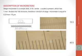 DESCRIPTION OF MICROMETERS
Stage micrometer is a simple slide, in its centre a scale is present ,which has
1 mm divided into 100 divisions, therefore I division of stage micrometer is equal to
0.01mm= 10 µm
Has
11/14/2021
Micrometry
and
Karyotype
Analysis
3
10 X
40 X
 