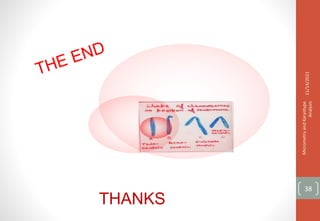 11/14/2021
Micrometry
and
Karyotype
Analysis
38
THANKS
 