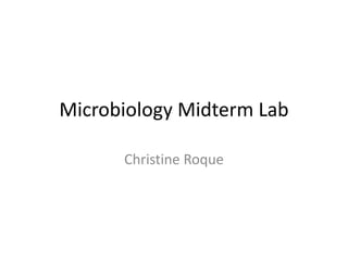 Microbiology Midterm Lab Christine Roque 
