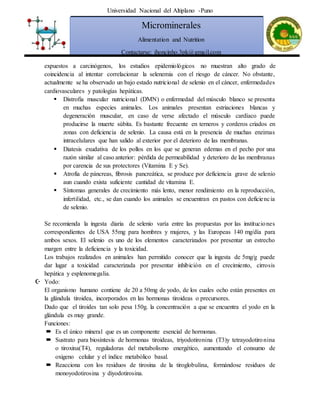 Universidad Nacional del Altiplano -Puno
Microminerales
Alimentation and Nutrition
Contactarse: jhoncinho.3pk@gmail.com
expuestos a carcinógenos, los estudios epidemiológicos no muestran alto grado de
coincidencia al intentar correlacionar la selenemia con el riesgo de cáncer. No obstante,
actualmente se ha observado un bajo estado nutricional de selenio en el cáncer, enfermedades
cardiovasculares y patologías hepáticas.
 Distrofia muscular nutricional (DMN) o enfermedad del músculo blanco se presenta
en muchas especies animales. Los animales presentan estriaciones blancas y
degeneración muscular, en caso de verse afectado el músculo cardíaco puede
producirse la muerte súbita. Es bastante frecuente en terneros y corderos criados en
zonas con deficiencia de selenio. La causa está en la presencia de muchas enzimas
intracelulares que han salido al exterior por el deterioro de las membranas.
 Diatesis exudativa de los pollos en los que se generan edemas en el pecho por una
razón similar al caso anterior: pérdida de permeabilidad y deterioro de las membranas
por carencia de sus protectores (Vitamina E y Se).
 Atrofia de páncreas, fibrosis pancreática, se produce por deficiencia grave de selenio
aun cuando exista suficiente cantidad de vitamina E.
 Síntomas generales de crecimiento más lento, menor rendimiento en la reproducción,
infertilidad, etc., se dan cuando los animales se encuentran en pastos con deficiencia
de selenio.
Se recomienda la ingesta diaria de selenio varía entre las propuestas por las instituciones
correspondientes de USA 55mg para hombres y mujeres, y las Europeas 140 mg/día para
ambos sexos. El selenio es uno de los elementos caracterizados por presentar un estrecho
margen entre la deficiencia y la toxicidad.
Los trabajos realizados en animales han permitido conocer que la ingesta de 5mg/g puede
dar lugar a toxicidad caracterizada por presentar inhibición en el crecimiento, cirrosis
hepática y esplenomegalia.
 Yodo:
El organismo humano contiene de 20 a 50mg de yodo, de los cuales ocho están presentes en
la glándula tiroidea, incorporados en las hormonas tiroideas o precursores.
Dado que el tiroides tan solo pesa 150g. la concentración a que se encuentra el yodo en la
glándula es muy grande.
Funciones:
 Es el único mineral que es un componente esencial de hormonas.
 Sustrato para biosíntesis de hormonas tiroideas, triyodotironina (T3)y tetrayodotironina
o tiroxina(T4), reguladoras del metabolismo energético, aumentando el consumo de
oxigeno celular y el índice metabólico basal.
 Reacciona con los residuos de tirosina de la tiroglobulina, formándose residuos de
monoyodotirosina y diyodotirosina.
 