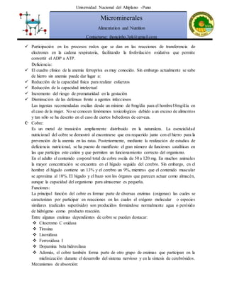 Universidad Nacional del Altiplano -Puno
Microminerales
Alimentation and Nutrition
Contactarse: jhoncinho.3pk@gmail.com
 Participación en los procesos redox que se dan en las reacciones de transferencia de
electrones en la cadena respiratoria, facilitando la fosforilación oxidativa que permite
convertir el ADP a ATP.
Deficiencia:
 El cuadro clínico de la anemia ferropriva es muy conocido. Sin embargo actualmente se sabe
de hierro sin anemia puede dar lugar a:
 Reducción de la capacidad física para realizar esfuerzos
 Reducción de la capacidad intelectual
 Incremento del riesgo de prematuridad en la gestación
 Disminución de las defensas frente a agentes infecciosos
Las ingestas recomendadas oscilan desde un mínimo de 8mg/día para el hombre18mg/día en
el caso de la mujer. No se conocen fenómenos toxicológicos debido a un exceso de alimentos
y tan sólo se ha descrito en el caso de ciertos bebedores de cerveza.
 Cobre:
Es un metal de transición ampliamente distribuido en la naturaleza. La esencialidad
nutricional del cobre se demostró al encontrarse que era requerido junto con el hierro para la
prevención de la anemia en las ratas. Posteriormente, mediante la realización de estudios de
deficiencia nutricional, se ha puesto de manifiesto el gran número de funciones catalíticas en
las que participa este catión y que permiten un funcionamiento correcto del organismo.
En el adulto el contenido corporal total de cobre oscila de 50 a 120 mg. En muchos animales
la mayor concentración se encuentra en el hígado seguida del cerebro. Sin embargo, en el
hombre el hígado contiene un 13% y el cerebro un 9%, mientras que el contenido muscular
se aproxima al 10%. El hígado y el bazo son los órganos que parecen actuar como almacén,
aunque la capacidad del organismo para almacenar es pequeña.
Funciones:
La principal función del cobre es formar parte de diversas enzimas (oxigenas) las cuales se
caracterizan por participar en reacciones en las cuales el oxígeno molecular o especies
similares (radicales superóxido) son producidos formándose normalmente agua o peróxido
de hidrógeno como producto reacción.
Entre algunas enzimas dependientes de cobre se pueden destacar:
 Citocromo C oxidasa
 Tirosina
 Lisoxidasa
 Ferroxidasa I
 Dopamina beta hidroxilasa
 Además, el cobre también forma parte de otro grupo de enzimas que participan en la
mielinización durante el desarrollo del sistema nervioso y en la síntesis de cerebrósidos.
Mecanismos de absorción:
 