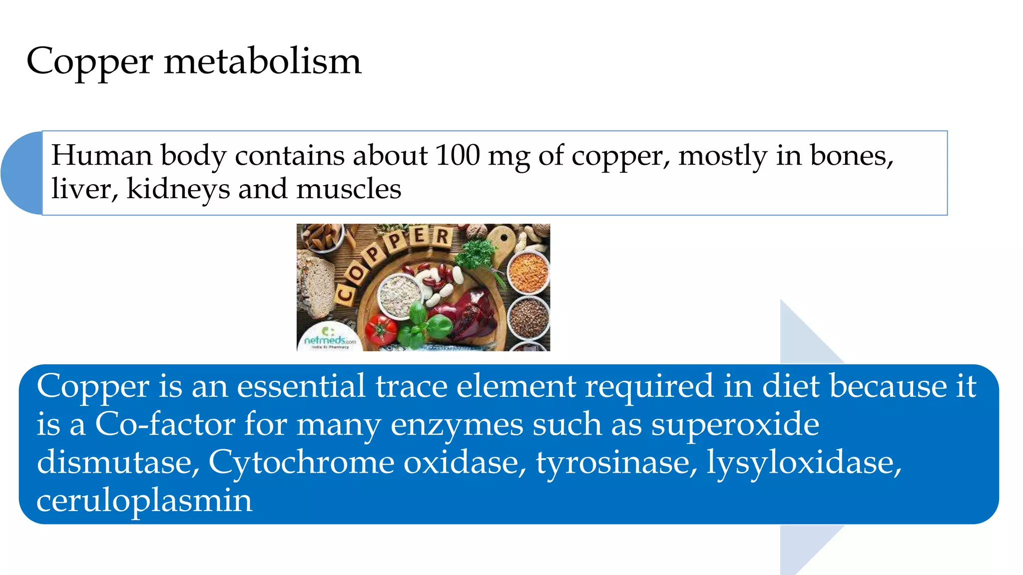 Micro Minerals 27.420 (1).pptx