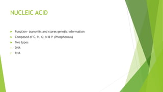 NUCLEIC ACID
 Function- transmits and stores genetic information
 Composed of C, H, O, N & P (Phosphorous)
 Two types
1. DNA
2. RNA
 