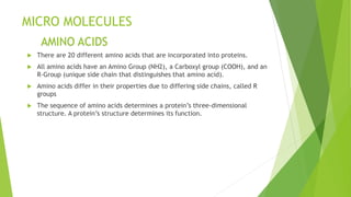 MICRO MOLECULES
 There are 20 different amino acids that are incorporated into proteins.
 All amino acids have an Amino Group (NH2), a Carboxyl group (COOH), and an
R-Group (unique side chain that distinguishes that amino acid).
 Amino acids differ in their properties due to differing side chains, called R
groups
 The sequence of amino acids determines a protein’s three-dimensional
structure. A protein’s structure determines its function.
AMINO ACIDS
 
