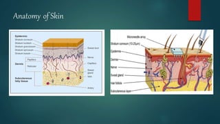 Microneedles | PPTX