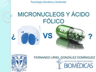 MICRONUCLEOS Y ÁCIDO
FÓLICO
FERNANDO URIEL GONZÁLEZ DOMÍNGUEZ
Toxicología Genética y Ambiental.
 