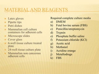 MATERIAL AND REAGENTS
 Latex gloves
 Pipette tips
 Petri dishes
 Mammalian cell culture
containers for adherent cells
 Microscope slides
 Cover glass
 6-well tissue culture treated
plate
 24-well tissue culture plate
 Mammalian non cancerous
adherent cells
Required complete culture media
a) DMEM
b) Fetal bovine serum (FBS)
c) Penicillin/streptomycin
d) Trypsin
e) Phosphate buffer saline
f) Potassium chloride (KCl)
g) Acetic acid
h) Methanol
i) Acridine orange
j) Metallodrugs
k) FBS
 